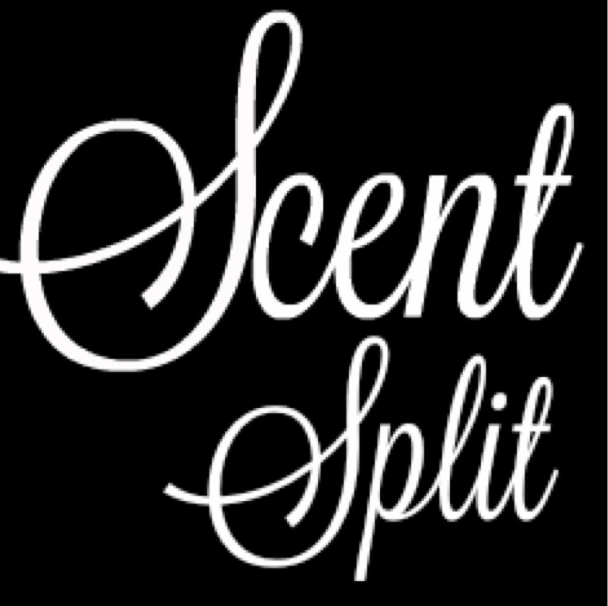 BORNTOSTANDOUT Fragrances Now Available! - Scent Split